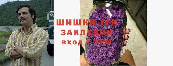 гашик Алексеевка