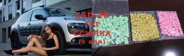 гашик Алексеевка