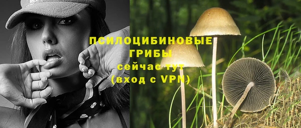 гашик Алексеевка