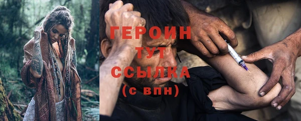 индика Покачи