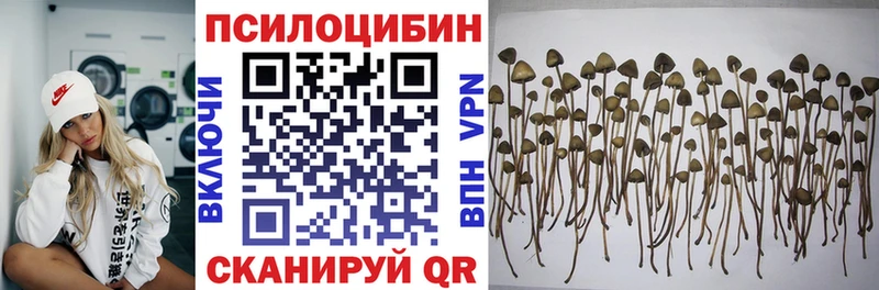 гидра зеркало  Кондопога  Галлюциногенные грибы мухоморы 